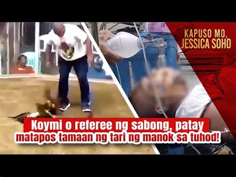 tari sabong manok|Koymi o referee ng sabong, patay matapos tamaan ng tari ng .